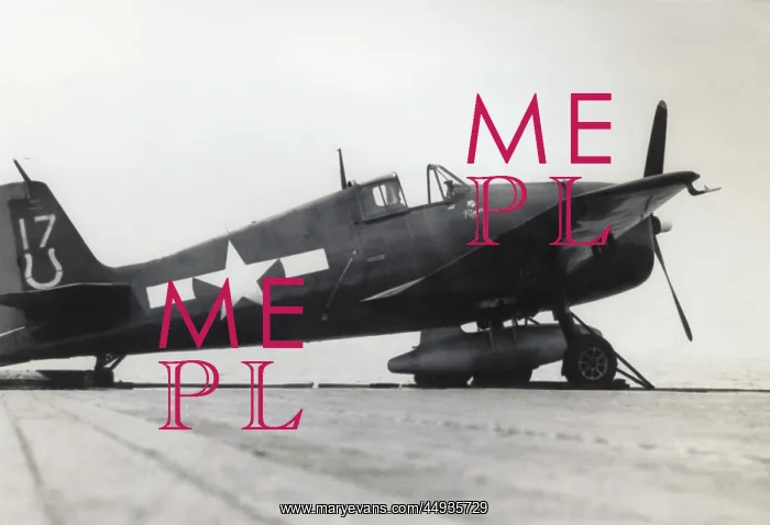 : Grumman F6F Hellcat : Grumman F6F Hellcat