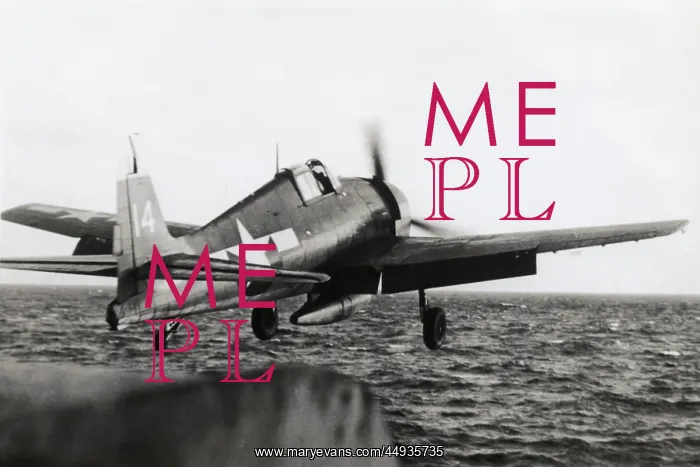 : Grumman F6F Hellcat : Grumman F6F Hellcat