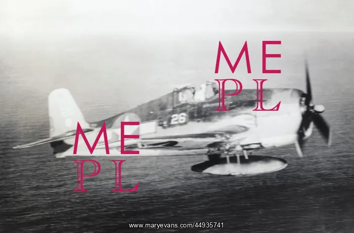 : Grumman F6F Hellcat : Grumman F6F Hellcat