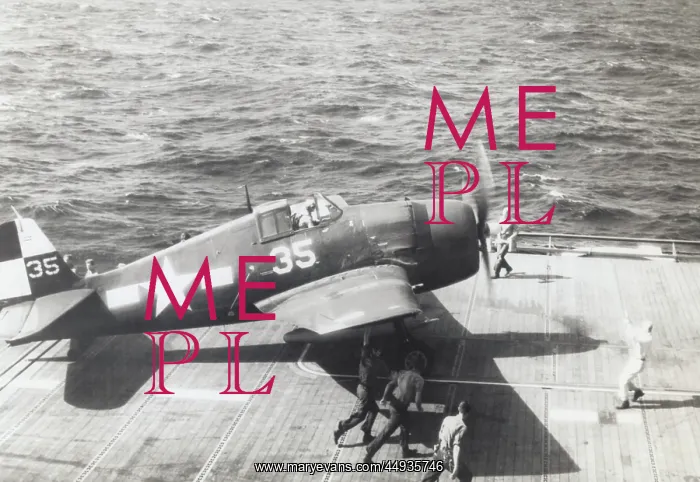 : Grumman F6F Hellcat : Grumman F6F Hellcat