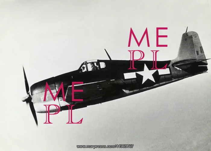 : Grumman F6F Hellcat : Grumman F6F Hellcat