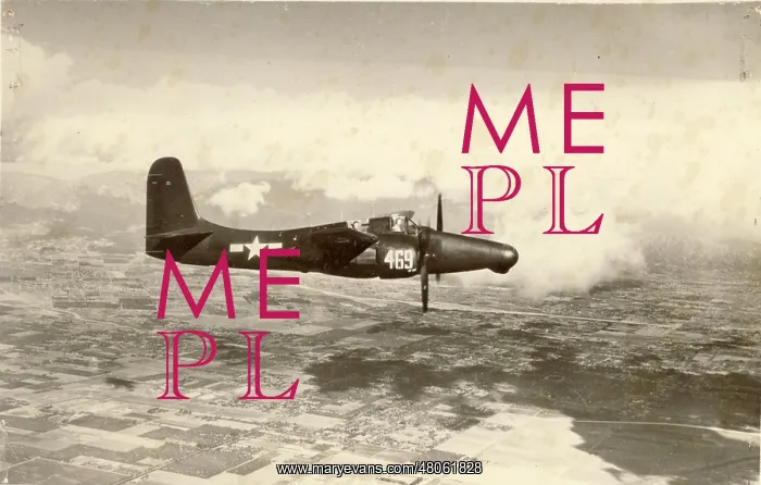 : Grumman F7F-3N Tigercat : Grumman F7F-3N Tigercat