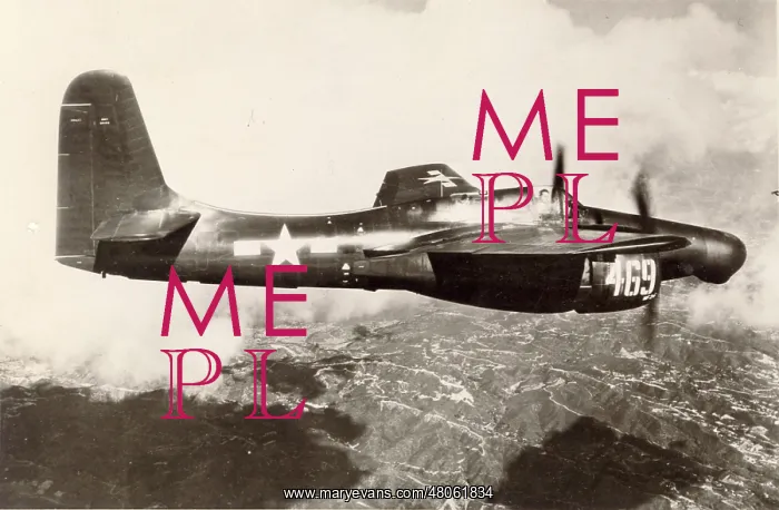 : Grumman F7F-3N Tigercat : Grumman F7F-3N Tigercat