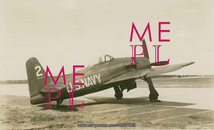 : Grumman F8F-1 Bearcat : Grumman F8F-1 Bearcat