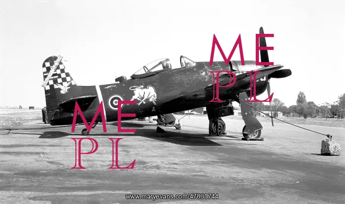 : Grumman F8F-1 Bearcat 485 : Grumman F8F-1 Bearcat 485