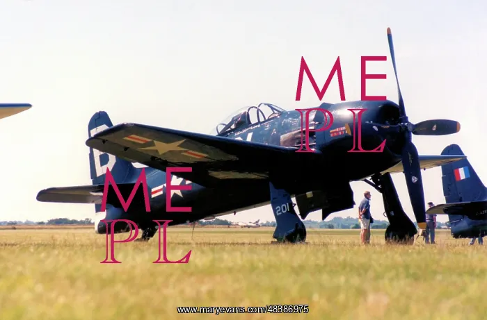: Grumman F8F-2 Bearcat G-RUMM : Grumman F8F-2 Bearcat G-RUMM