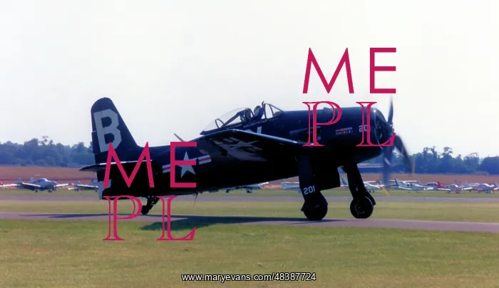: Grumman F8F-2 Bearcat G-RUMM : Grumman F8F-2 Bearcat G-RUMM