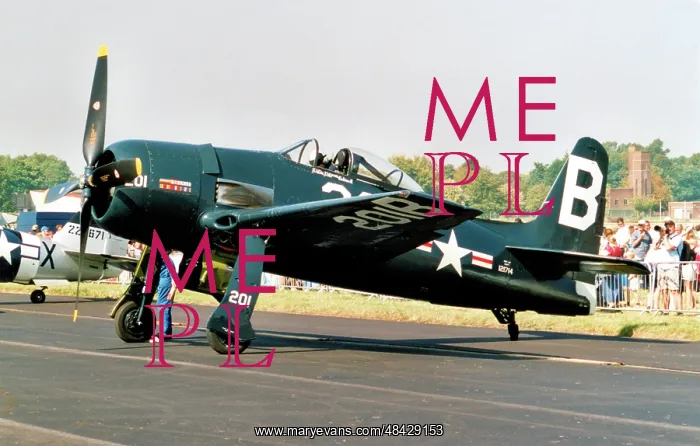 : Grumman F8F-2P Bearcat G-RUMM : Grumman F8F-2P Bearcat G-RUMM