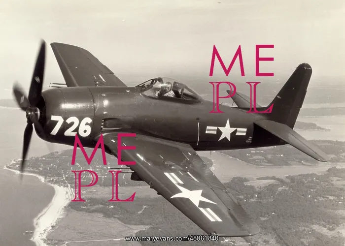 : Grumman F8F Bearcat : Grumman F8F Bearcat