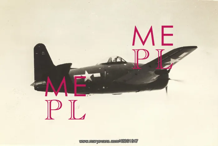 : Grumman F8F Bearcat : Grumman F8F Bearcat