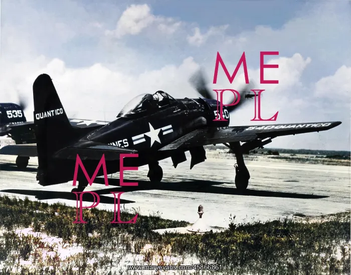 : Grumman F8F2 Bearcat (aft) running up of USMC Quantico'? : Grumman F8F2 Bearcat (aft) running up of USMC Quantico'?