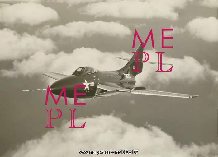 : Grumman F9F-8 Cougar : Grumman F9F-8 Cougar