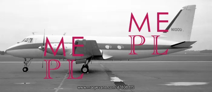 : Grumman G-159 Gulfstream I N1000 : Grumman G-159 Gulfstream I N1000