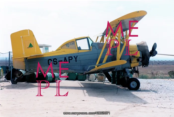 : Grumman G-164A Ag-Cat CS-APY : Grumman G-164A Ag-Cat CS-APY