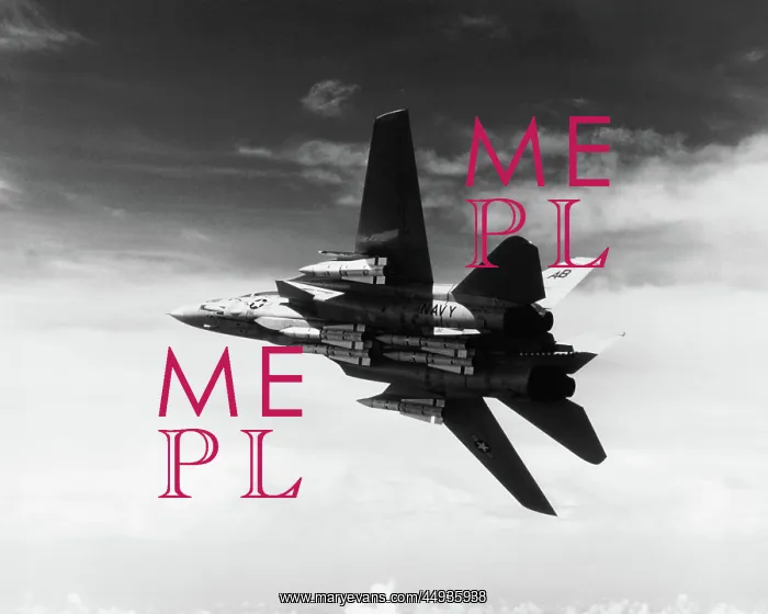 : Grumman G-303 F-14 Tomcat : Grumman G-303 F-14 Tomcat
