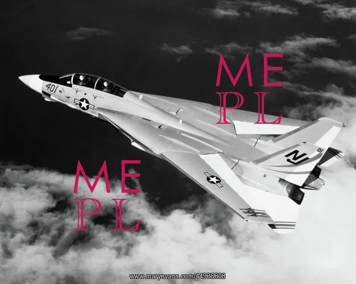 : Grumman G-303 F-14 Tomcat : Grumman G-303 F-14 Tomcat