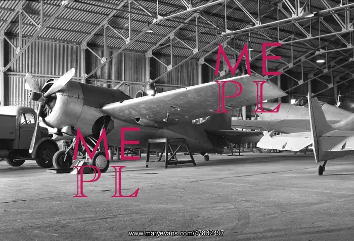 : Grumman G-36A Martlet I AL246 : Grumman G-36A Martlet I AL246