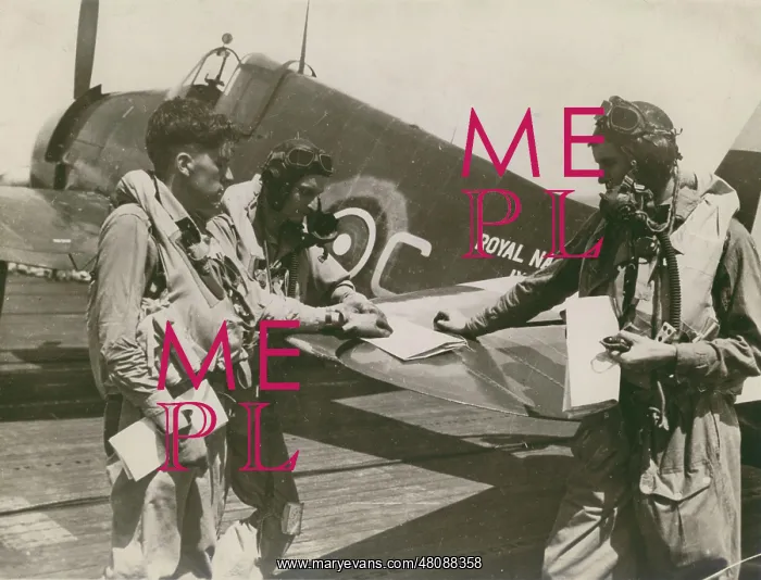 : Grumman Hellcat of the Royal Navy in the East Indies : Grumman Hellcat of the Royal Navy in the East Indies