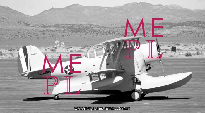 : Grumman J2F-6 7790 : Grumman J2F-6 7790