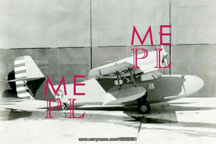 : Grumman J4F Widgeon of US Coast Guard that came under : Grumman J4F Widgeon of US Coast Guard that came under