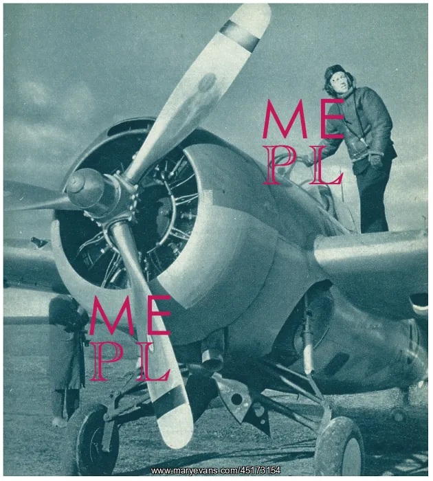 : Grumman Martlet Fighter : Grumman Martlet Fighter