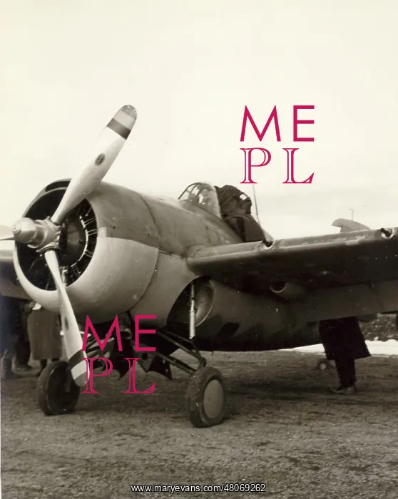 : Grumman Martlet I AX828 : Grumman Martlet I AX828