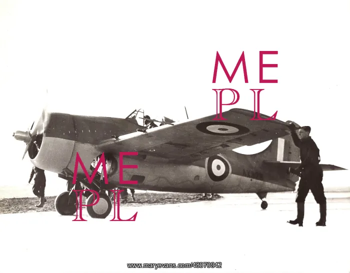 : Grumman Martlet I AX828 : Grumman Martlet I AX828