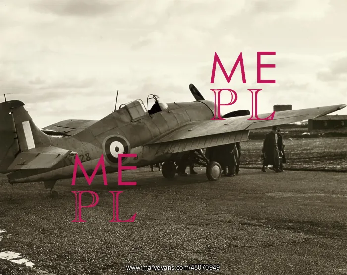: Grumman Martlet I AX828 : Grumman Martlet I AX828