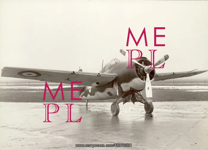 : Grumman Martlet I BJ570 : Grumman Martlet I BJ570
