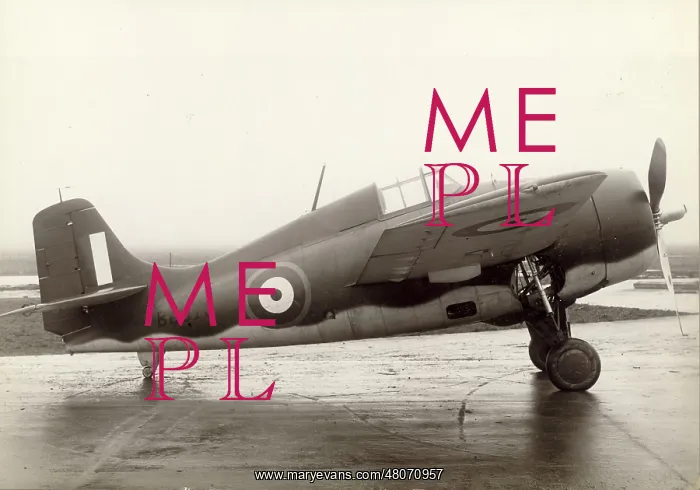 : Grumman Martlet I BJ570 : Grumman Martlet I BJ570