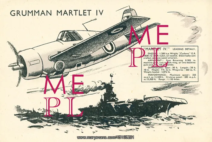 : Grumman Martlet IV : Grumman Martlet IV