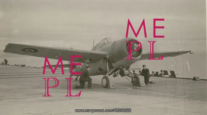 : Grumman Martlet of the Royal Navy : Grumman Martlet of the Royal Navy
