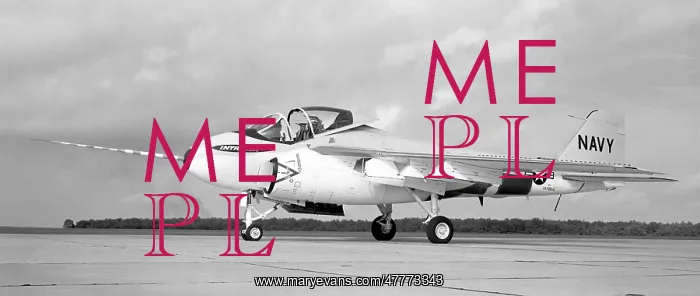 : Grumman XA2F-1 Intruder 147864 : Grumman XA2F-1 Intruder 147864