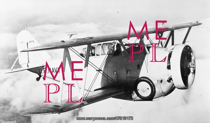: Grumman XFF-1 A8878 : Grumman XFF-1 A8878