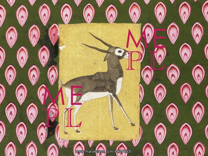  : Grylle of a deer-like animal