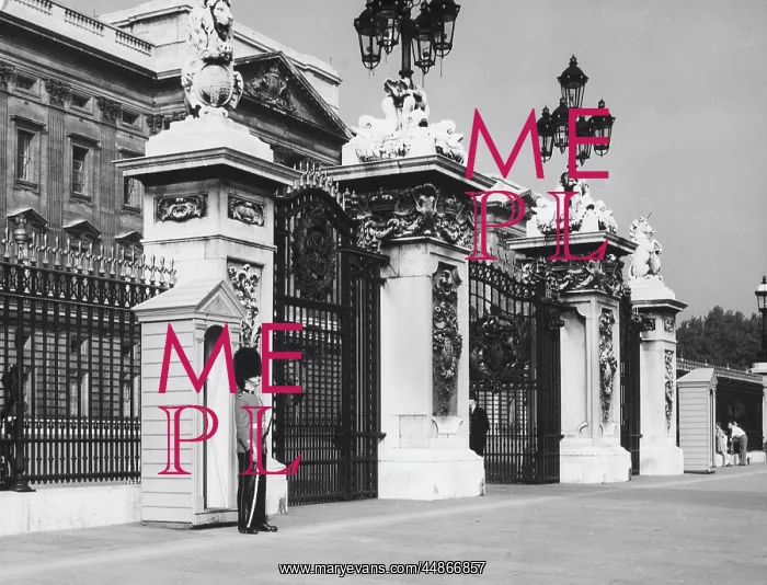 : GUARD / BUCKINGHAM PALACE : GUARD / BUCKINGHAM PALACE