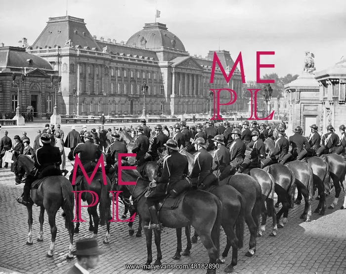 : Guards in front of the Royal Palace in Brussels, 1935 : Guards in front of the Royal Palace in Brussels, 1935