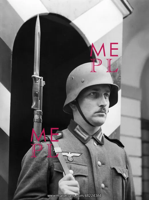 : Guardsman with bayoneted rifle : Guardsman with bayoneted rifle