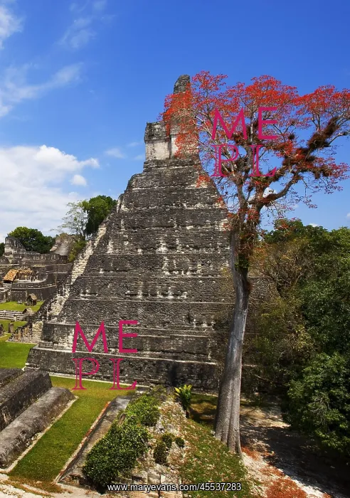 : Guatemala. Tikal. Maya Art : Guatemala. Tikal. Maya Art