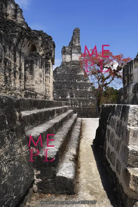 : Guatemala. Tikal. Maya Art : Guatemala. Tikal. Maya Art