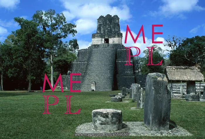 : Guatemala. Tikal. Maya pyramid : Guatemala. Tikal. Maya pyramid