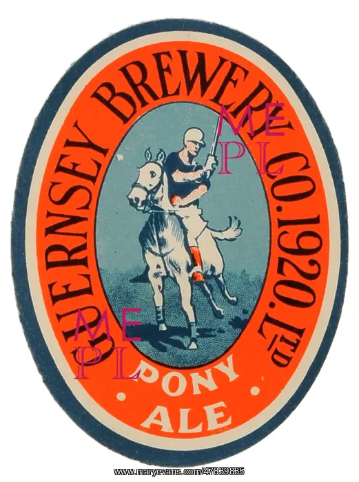 : Guernsey Brewery Pony Ale