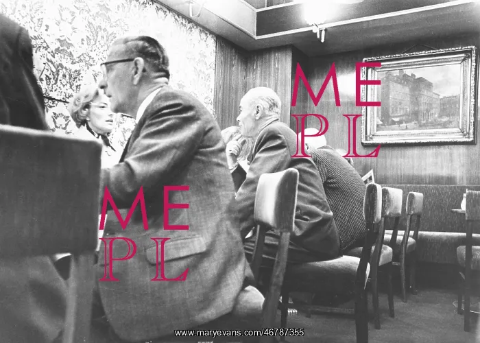: Guests in Cafe Mozart in Vienna : Guests in Cafe Mozart in Vienna