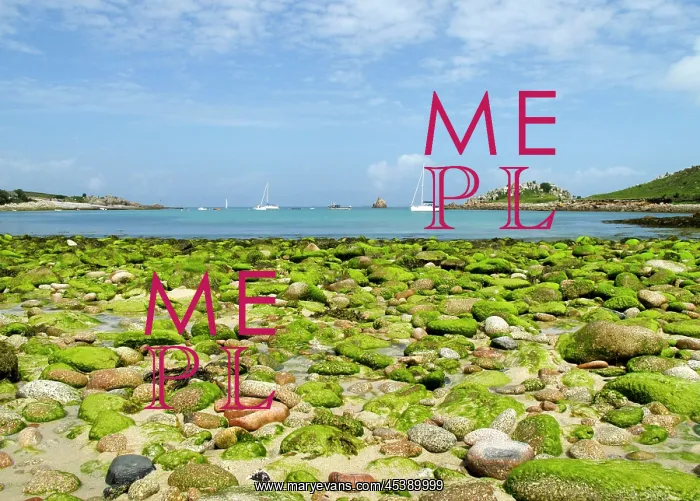 : Gugh, St. Agnes, Isles of Scilly, Isles of Scilly : Gugh, St. Agnes, Isles of Scilly, Isles of Scilly