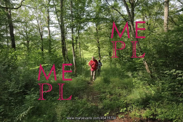 : Guided walk, Parc National de Forets, Haute-Marne, France : Guided walk, Parc National de Forets, Haute-Marne, France