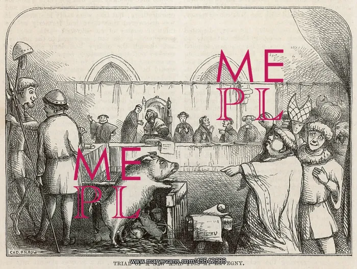 : A Guilty Sow : A Guilty Sow