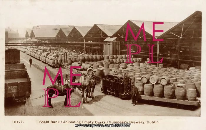 : Guinness Brewery, Dublin - Scald Bank : Guinness Brewery, Dublin - Scald Bank