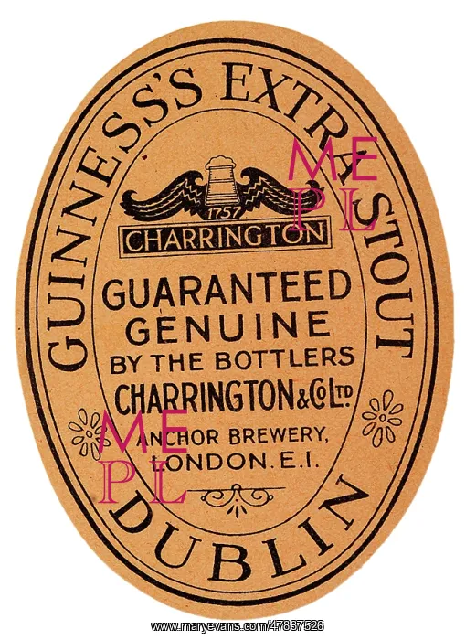  : Guinness Extra Stout