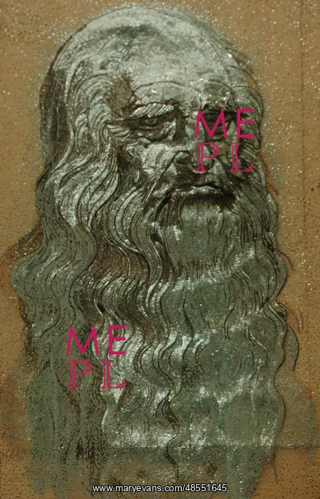 : Guinness Record. Leonardo da Vinci portrait : Guinness Record. Leonardo da Vinci portrait