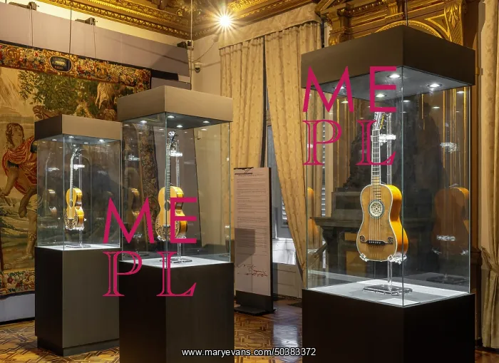 : Guitars, Musei di Strada Nuova, Palazzo Doria Tursi, Genoa, Italy : Guitars, Musei di Strada Nuova, Palazzo Doria Tursi, Genoa, Italy